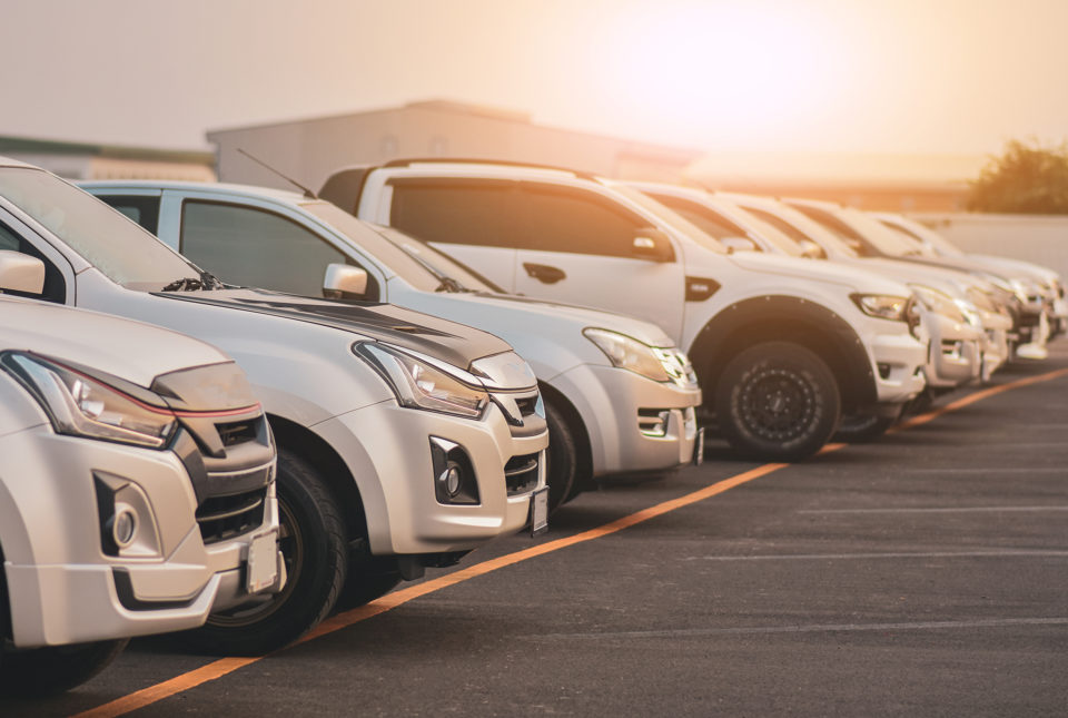 かてがわ行政書士事務所