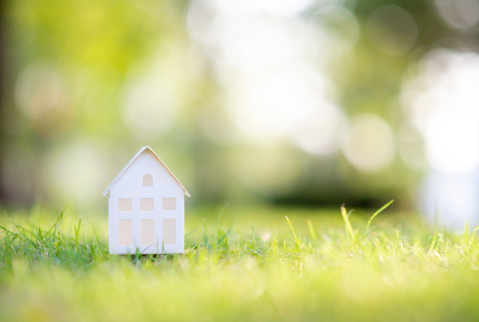 かてがわ行政書士事務所