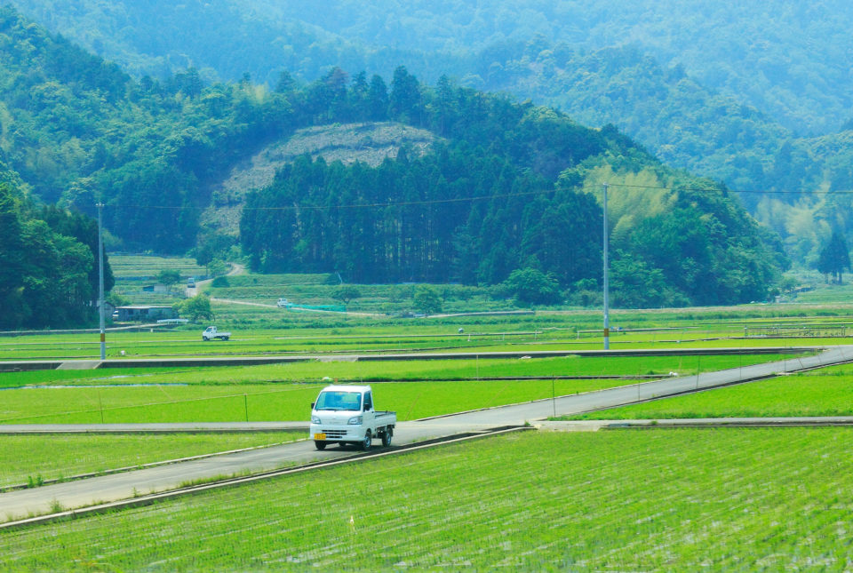 かてがわ行政書士事務所